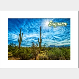 Saguaro National Park Posters and Art